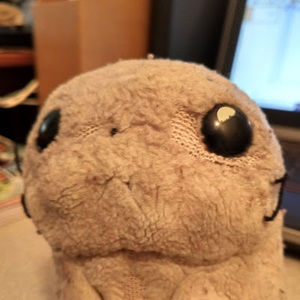 Meet your Posher, Gavin